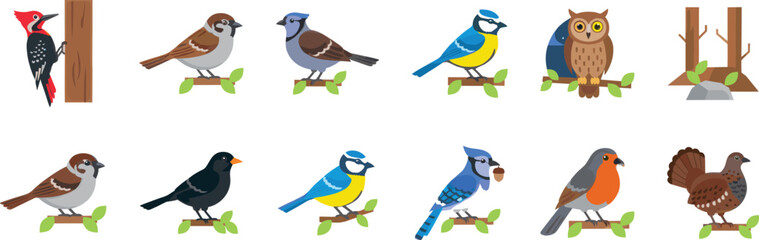 Bird illustrations set