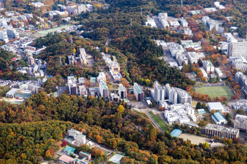 東北大学理学部キャンパスを空撮