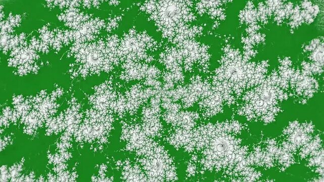 Grid lines shifting organic flow with thin grid lines shifting and effect ad_ready green screen simple grid patterns style featuring