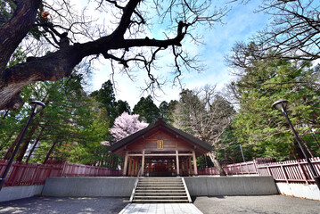 Hokkaido Shrine is the most famous landmark in Sapporo, Hokkaido, Japan
