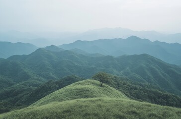 Serene mountain landscape with solitary tree on grassy hill, misty atmosphere and rolling hills in background scenery