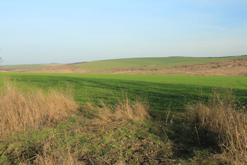 Fototapeta premium A grassy field with a hill in the background with Konza Prairie Natural Area in the background