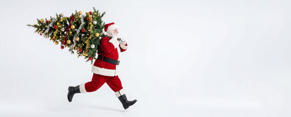 Santa Claus running with a decorated Christmas tree on his shoulder on white background. Banner template for Holiday delivery and festive rush concept winter celebration with copy space.