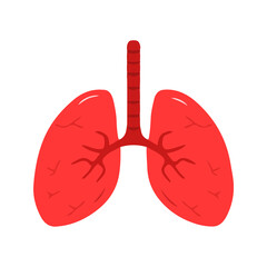 Red Human Lungs Organ For Respiratory System Health