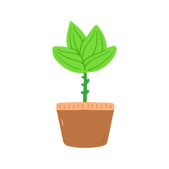 Green Plant In Brown Pot
