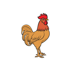 Red Rooster Chicken Vector Illustration
