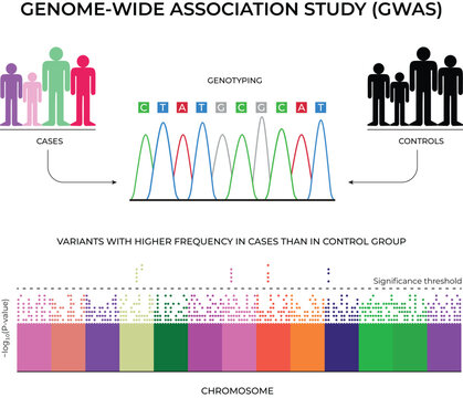 Genome-Wide Association Study Vector