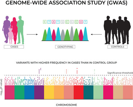 Genome-Wide Association Study Process and Results