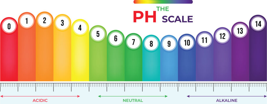 pH Scale Understanding Acidity, Neutrality, and Alkalinity
