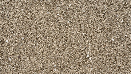 Seamless Flat Lay Texture of Fine Natural Brown Sand and Shell Fragments