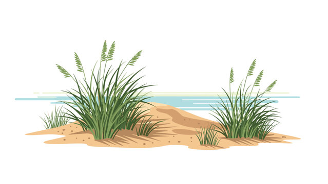 Coastal dune vegetation with sea oats and sandy beach landscape creates a serene natural scene.