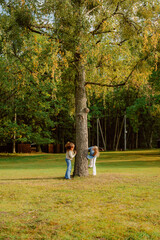Fototapeta premium Two friends enjoy a fun afternoon in a lush green park, playfully hiding behind a tall, sturdy tree. The sunlight filters through the leaves, creating a warm, inviting atmosphere.