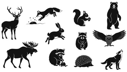 Fototapeta premium Compilation of black and white silhouettes of north american forest wildlife animals and birds