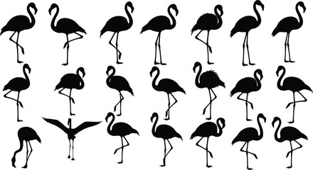 Flamingo silhouette collection, tropical bird poses set, black flamingo vector illustrations, wildlife icons, elegant nature animal shapes