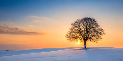 Obraz premium Snow covers a landscape with a single tree as the sun sets in the background on a winter evening
