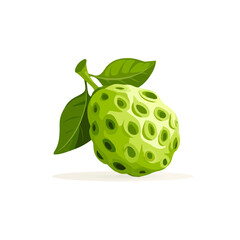 2D minimalist flat vector of a Noni Fruit, contemporary clean design isolated on white.