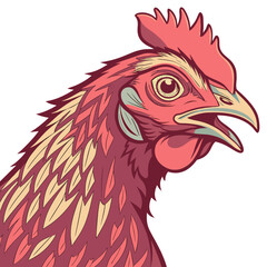 Rooster head in profile colorful chicken bird