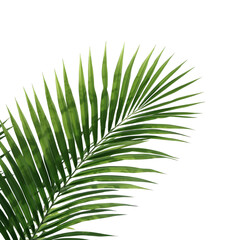 tropical palm leaf 