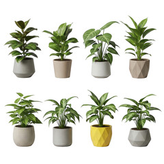 Obraz premium Collection of eight potted houseplants isolated on transparent background, each with unique foliage and pot design, adding a touch of greenery and modern style to any space