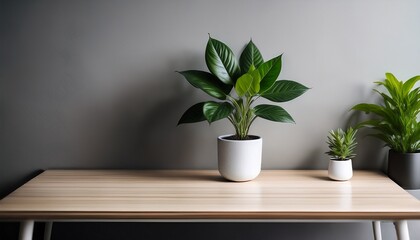 Fototapeta premium plant on a desk minimalist office decor with greenery
