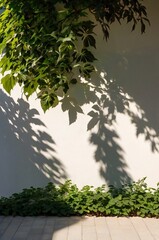 tree shadow in the white wall