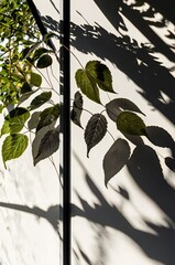 abstract nature background