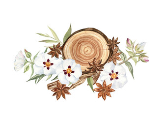 Watercolor illustration of the rockrose flowers, star anise, and sandalwood. Elegant botanical illustration, composition of the fragrant plants. For greeting cards, perfumery projects, stickers