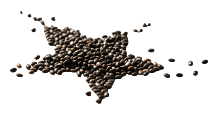 Chia Seeds Arranged In Star Shape Against Transparent Background