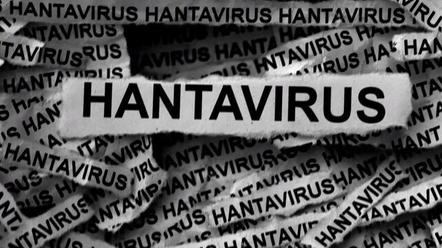 Strips of newspaper with the words Hantavirus typed on them. Black and white. Close up.