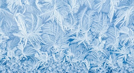Frozen window with ice patterns and snowflakes.