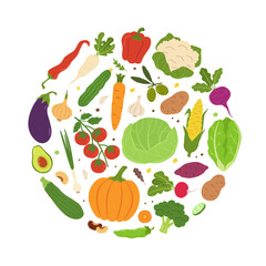 Fresh vegetables and organic food for vegan. Cooking or healthy kitchen with salad ingredient and farm harvest. Vector set in circle assortment with garden carrot and tomato, avocado and pepper