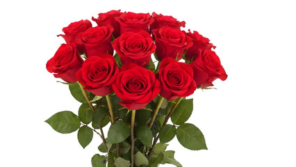 Obraz premium A bouquet of vibrant red roses on a black background
