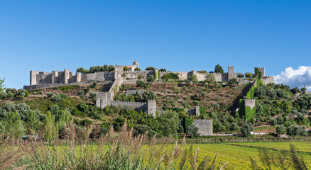 View of the medieval Castle of Montemor-o-Velho in the Coimbra district, Portugal, featuring ancient stone walls and towers on a green hill.