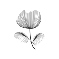 Minimalist Floral Line Art Illustration with Leaves