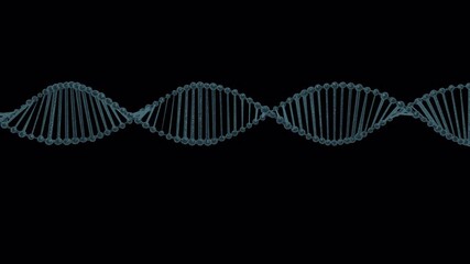 Abstract 3D DNA Double Helix Structure Animation on Black Background.