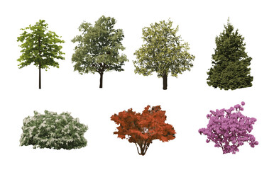 Fototapeta premium Set of vector trees and bushes in elevation view for use in architectural drawings