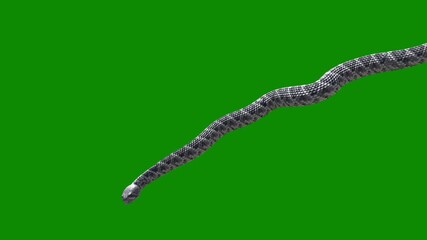 A solid, vibrant, bright green color filling the entire frame, creating a uniform background.