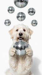dog with a mirrored disco ball, party celebration, on a white background, party animal photo