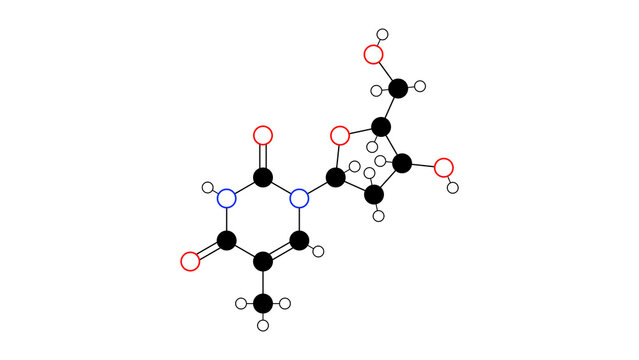 thymidine molecule, structural chemical formula, ball-and-stick model, isolated image dna precursor