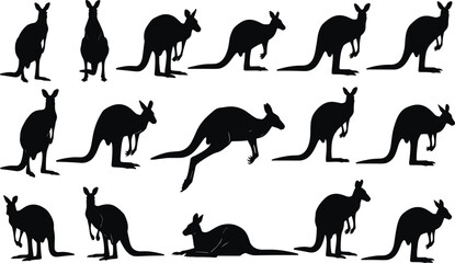 Kangaroo silhouette collection showing standing, jumping and resting poses, Australian wildlife animal black vector illustrations isolated on white background