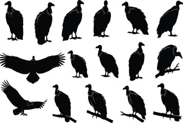 Vulture bird silhouette collection featuring perched and flying scavenger birds, wildlife nature black vector illustrations isolated on white background