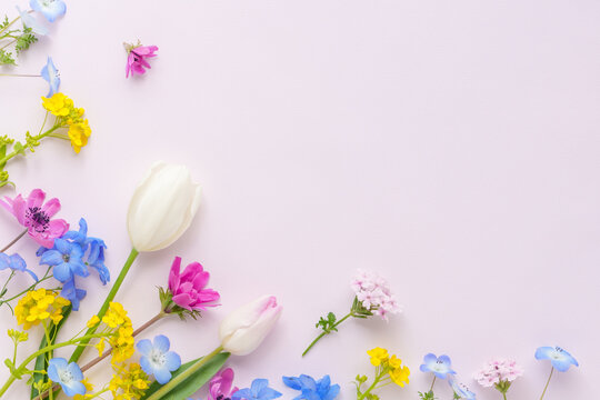 ピンクの背景に春の花いっぱいのフラワーフレーム
