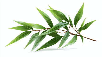 Fototapeta premium A serene close-up shot of bamboo leaves showcasing their vibrant green hues and delicate textures