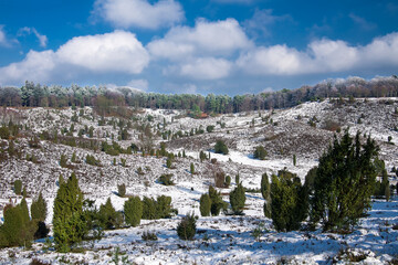 Totengrund L&uuml;neburger Heide im Schnee