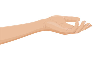 Female hand holding empty gesture showing symbol isolated on white background