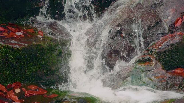 Close-up footage of water cascading down the rocky stream bed of Glendale Falls in Massachusetts. The scene captures the natural beauty and tranquil flow of the water, with vibrant green moss and redd