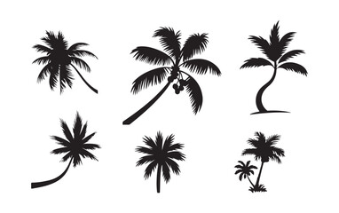 Fototapeta premium Palm Tree Silhouette Collection, Tropical Coconut Tree Vector Illustration.