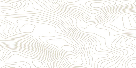 Modern abstract topographic contour line pattern with wavy elevation curves in soft monochrome gray, designed as a seamless minimalist background on transparent for branding and design
