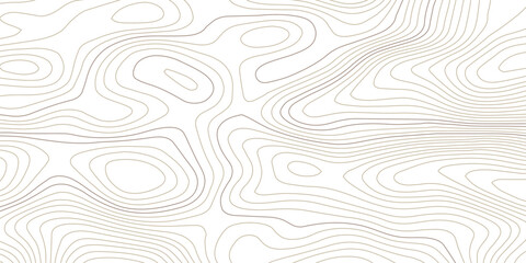Modern abstract topographic contour line pattern with wavy elevation curves in soft monochrome gray, designed as a seamless minimalist background on transparent for branding and design  © Hasan