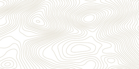 Minimal seamless topographic contour line pattern in soft gray tones on transparent, featuring abstract elevation mapping with flowing organic curves for modern design applications © Hasan